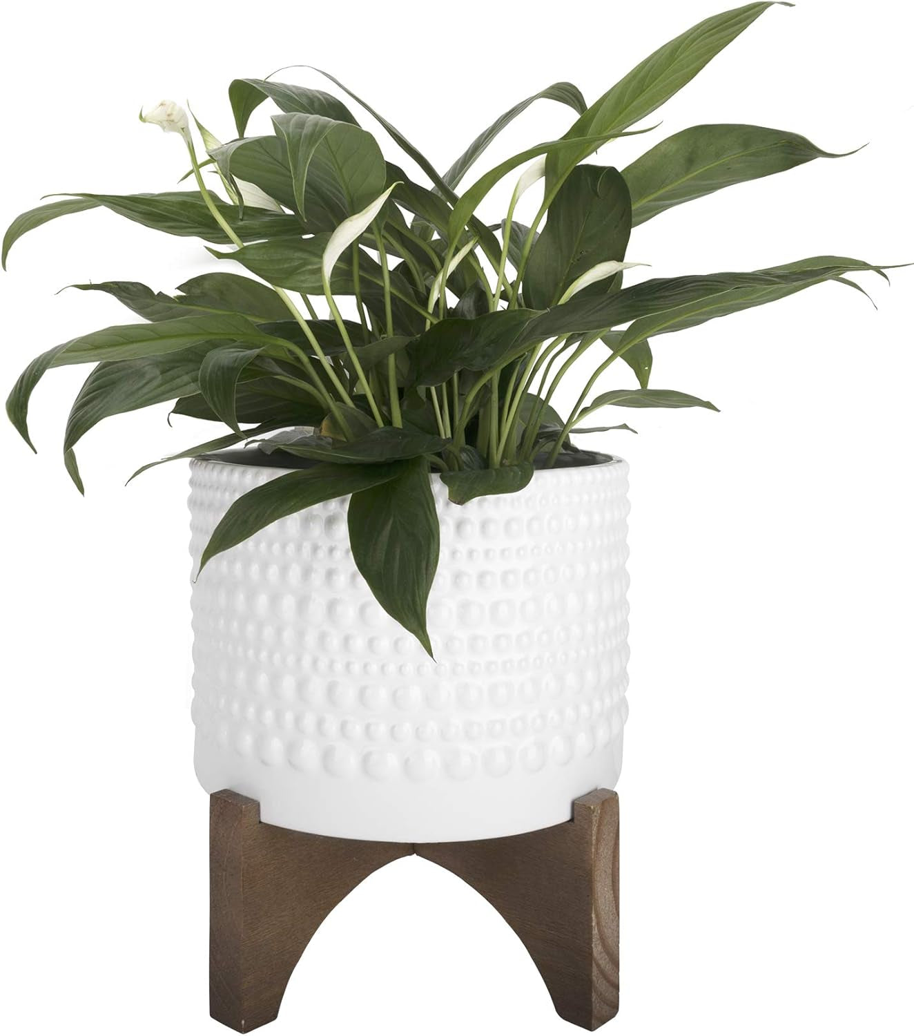 Ceramic Planter with Wood Stand - 8 Inch White Cylinder Embossed Hobnail Patterned Flower Plant Pot Indoor