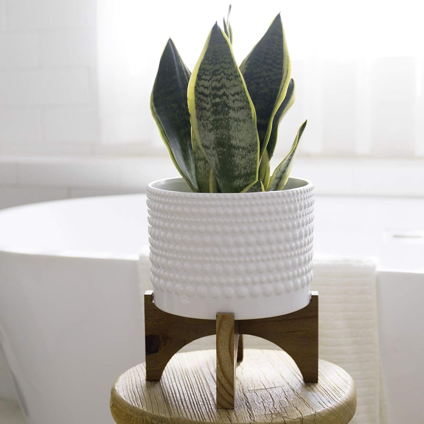 Ceramic Planter with Wood Stand - 8 Inch White Cylinder Embossed Hobnail Patterned Flower Plant Pot Indoor