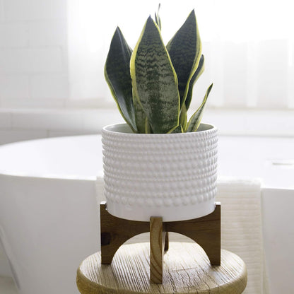 Ceramic Planter with Wood Stand - 8 Inch White Cylinder Embossed Hobnail Patterned Flower Plant Pot Indoor